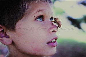 Image description is not available for 2014.061